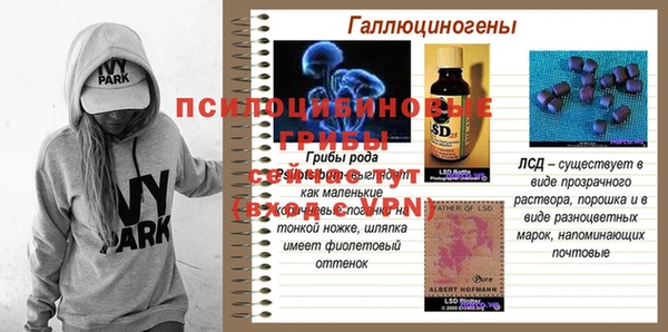 ешки Верхний Тагил