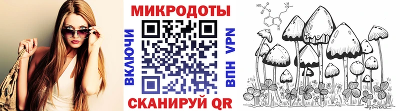 KRAKEN зеркало  Галич  Галлюциногенные грибы Psilocybine cubensis 